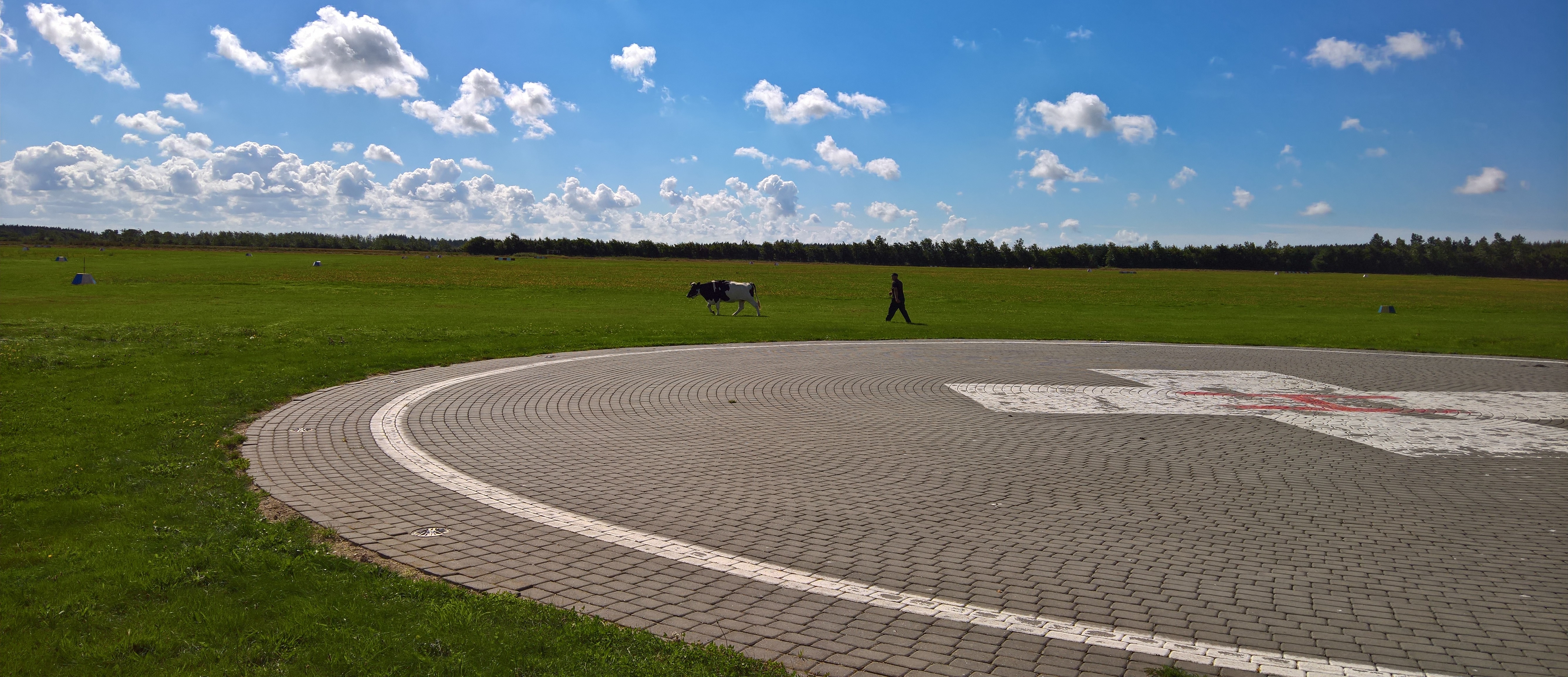 WP_20160827_12_06_47_Pro (2).jpg
